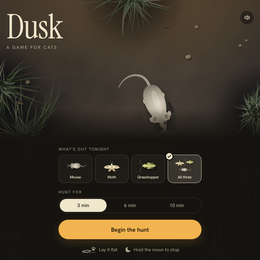 Dusk — A Game for Cats 🐱