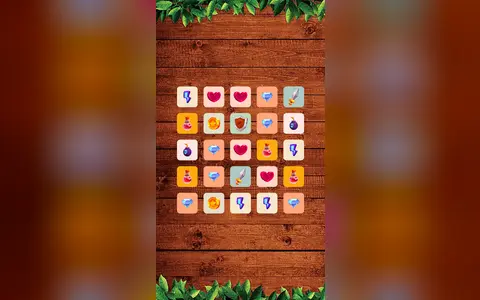 Memory Cards